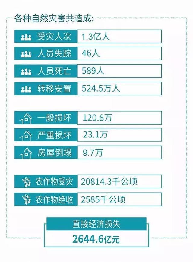 最新感人数据，时代温情的力量揭示
