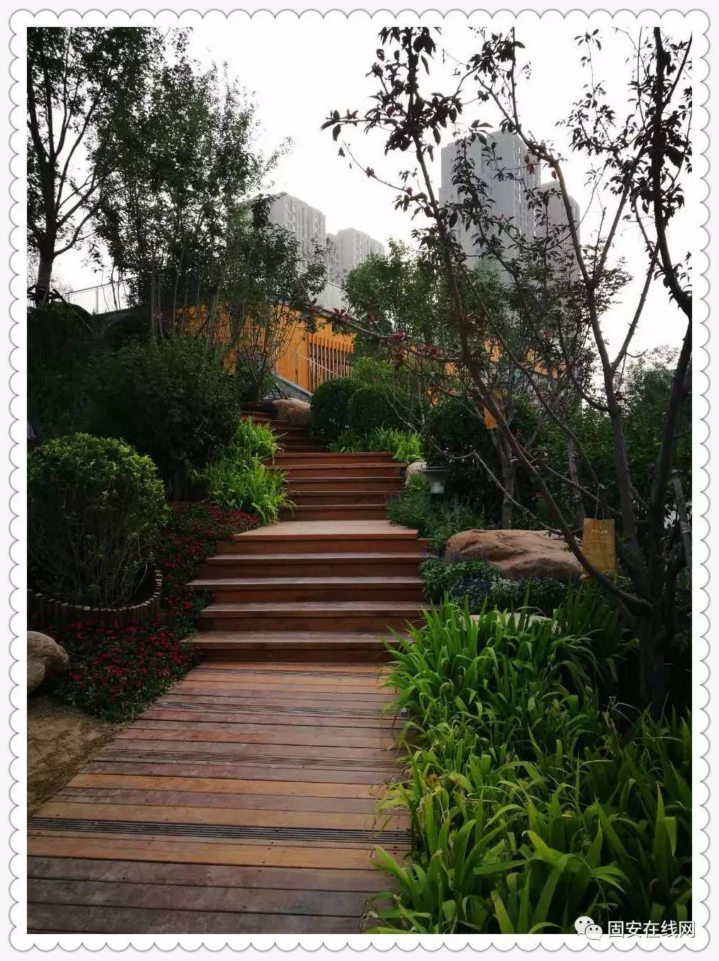 固安最新公园,巷弄深处的绿意宝藏与独特小店探索