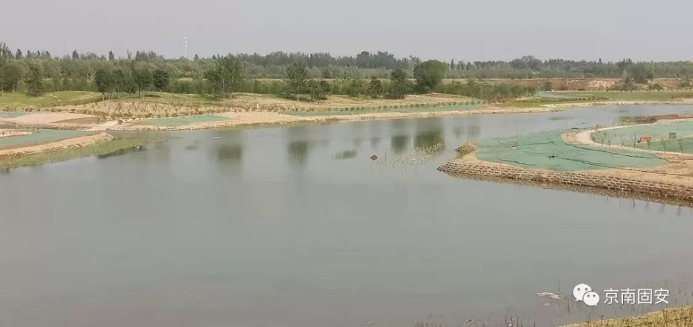 固安最新公园,巷弄深处的绿意宝藏与独特小店探索