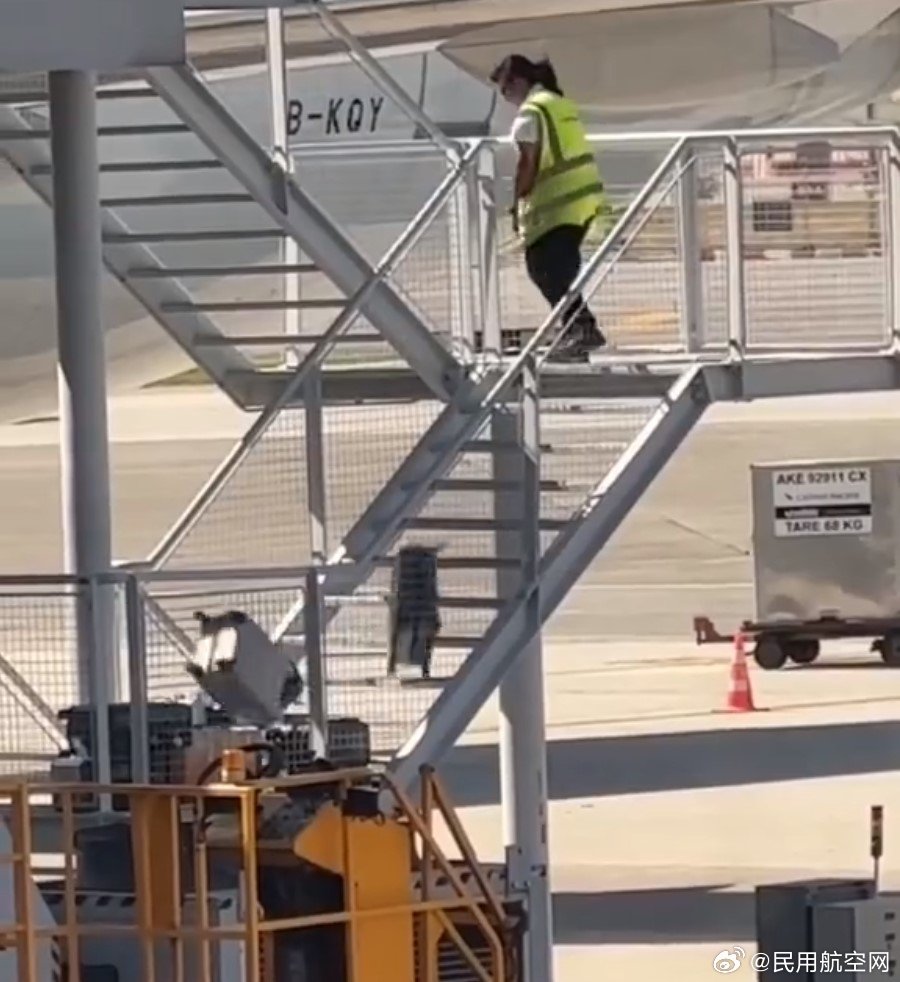 地勤最新情况,小巷中的隐藏瑰宝揭秘