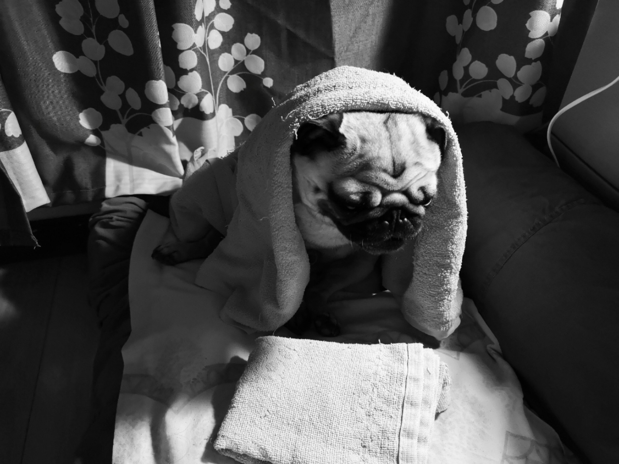 啪啪凸凸最新,啪啪凸凸最新,探索现代娱乐新潮流