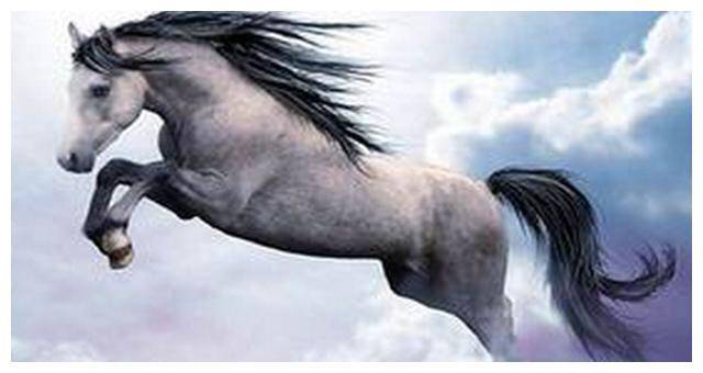 三肖三期必出特马,权威解析方法_专业版20.816