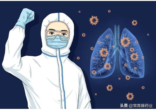 最新病毒升级,最新病毒升级,详细步骤指南