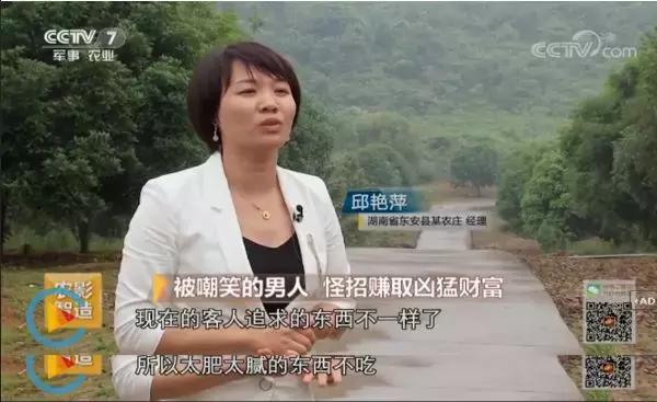 竹鼠最新动态,自然探索之旅,寻找内心平和与宁静的旅程