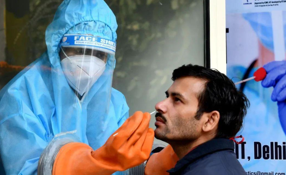 中国最新冠疫情下的自然之旅，寻找心灵的宁静与平和