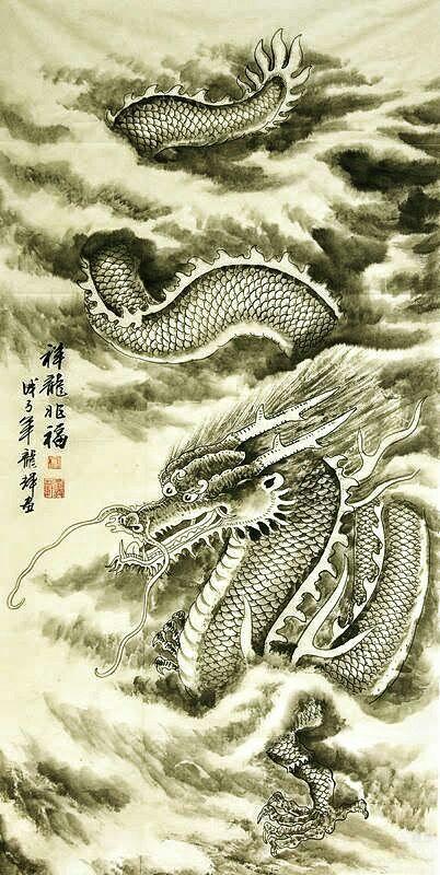 龙图续最新攻略,详细步骤指南