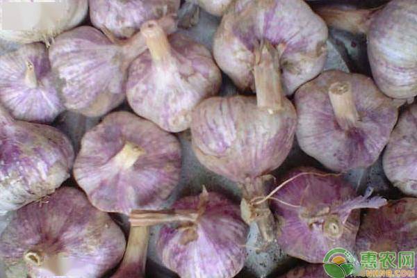 工程机械应急救援车 第192页