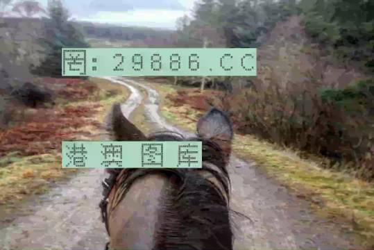 最准一肖一码一一香港澳王一王,实证分析细明数据_数字处理版23.548