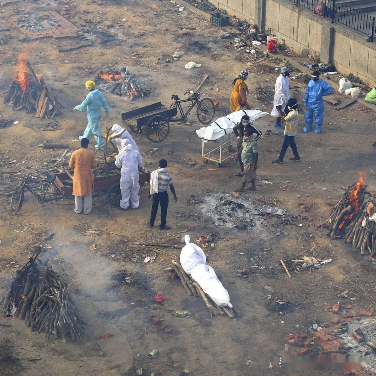 印度疫情下的自然之旅,寻求内心宁静与力量的旅程