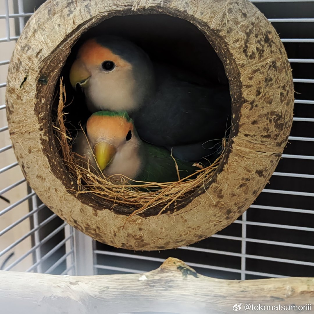 最新精了窝,小巷中的独特风味与隐藏美食天堂