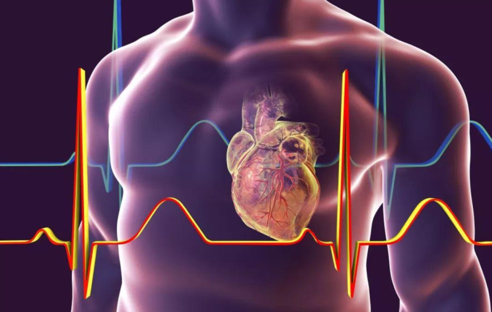 2024年正版资料免费大全特色,科学解说指法律_家居版72.558