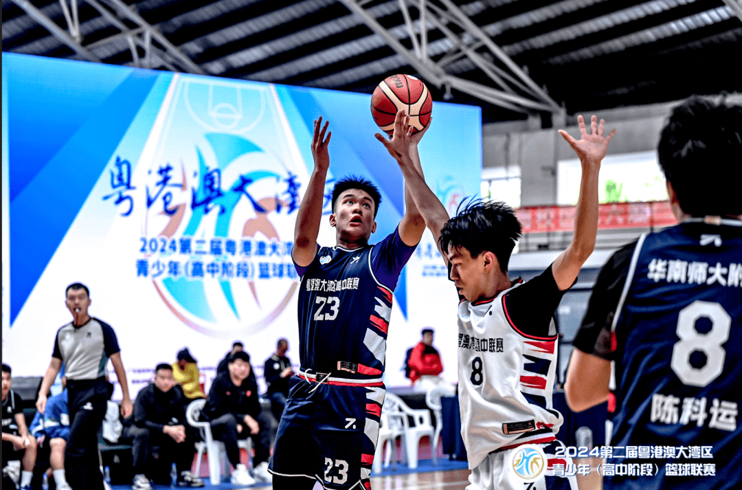 2024新澳资料大全,科学解说指法律_颠覆版50.224