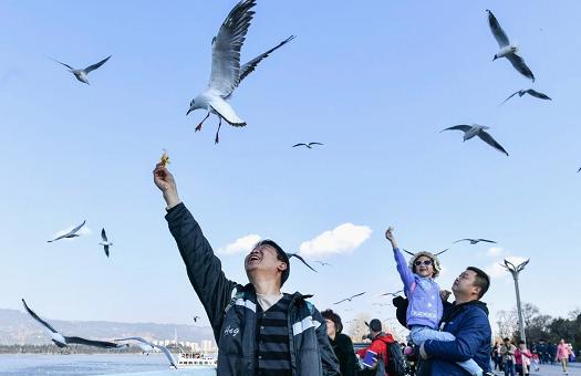 2024澳门天天开好彩大全正版优势评测,深究数据应用策略_安全版68.677