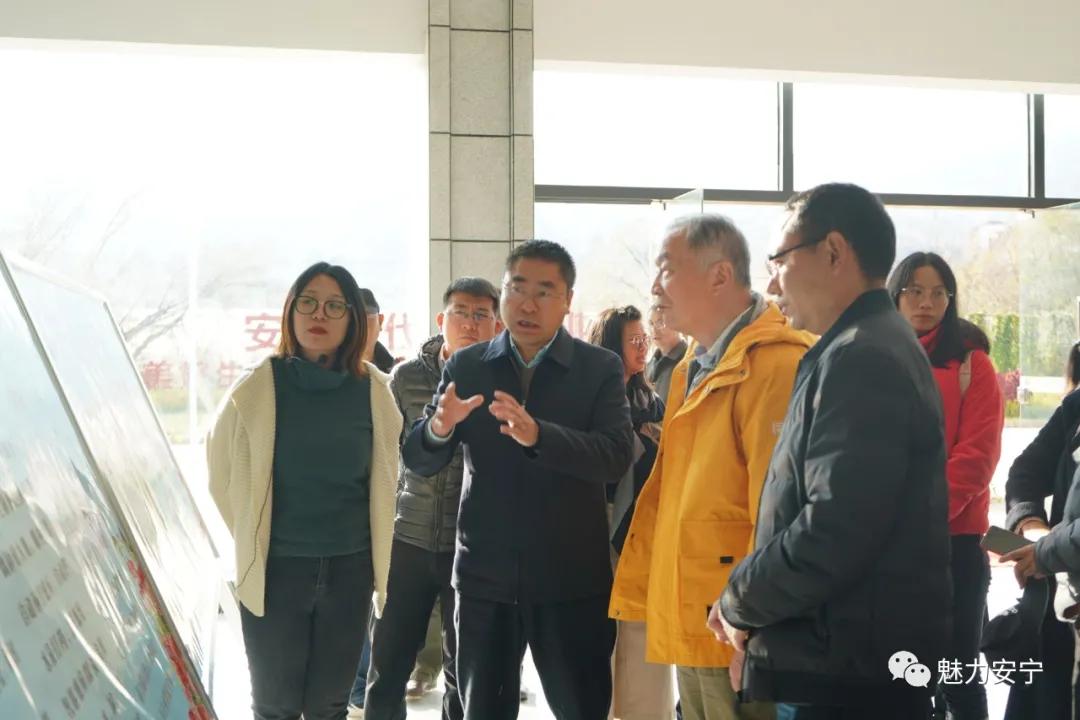 6合和彩玩法规则,实地验证实施_美学版52.255