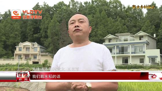 仪陇县最新城区规划图,仪陇县最新城区规划图，塑造未来的蓝图