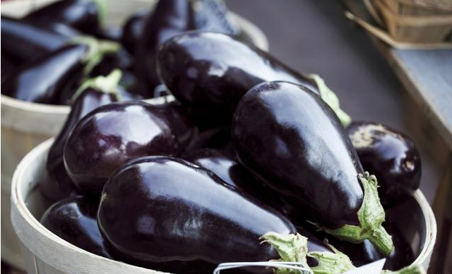 最新国产茄子品种推荐及介绍 ??