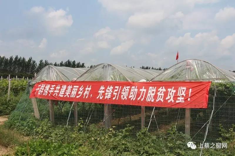 上蔡县蔡沟乡最新发展动态