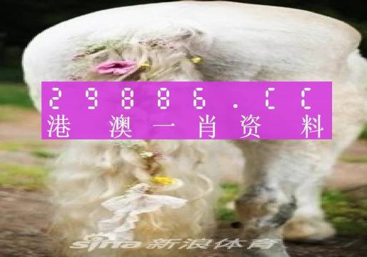 澳门必中一肖一码第一个2024,全盘细明说明_方便版43.386