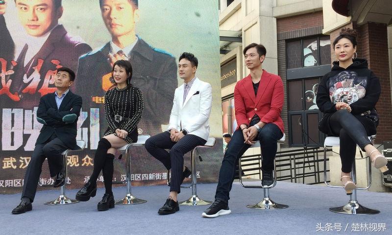 战狼电视剧观看指南，一步步带你领略精彩剧情