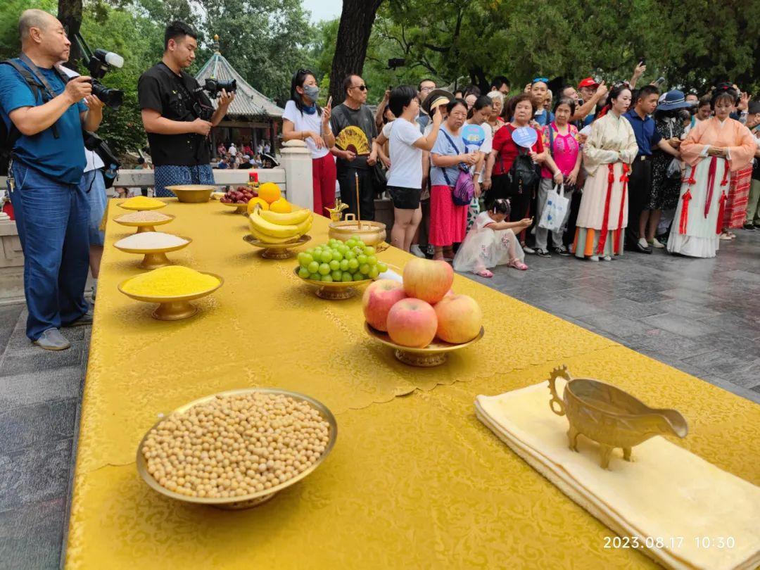 太原古筝比赛,传统魅力的璀璨绽放