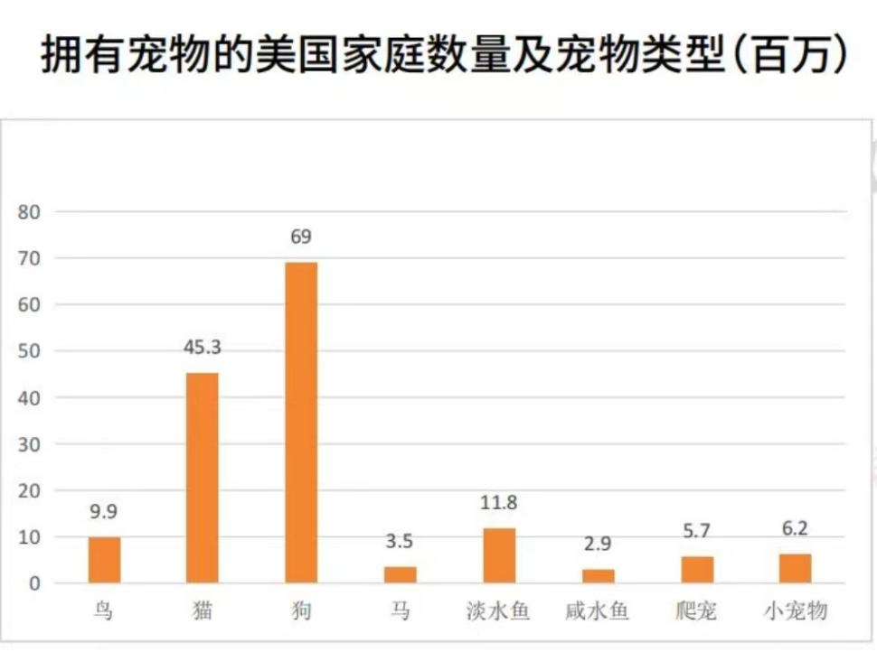 宠物用品市场繁荣趋势及前景展望,行情分析与展望
