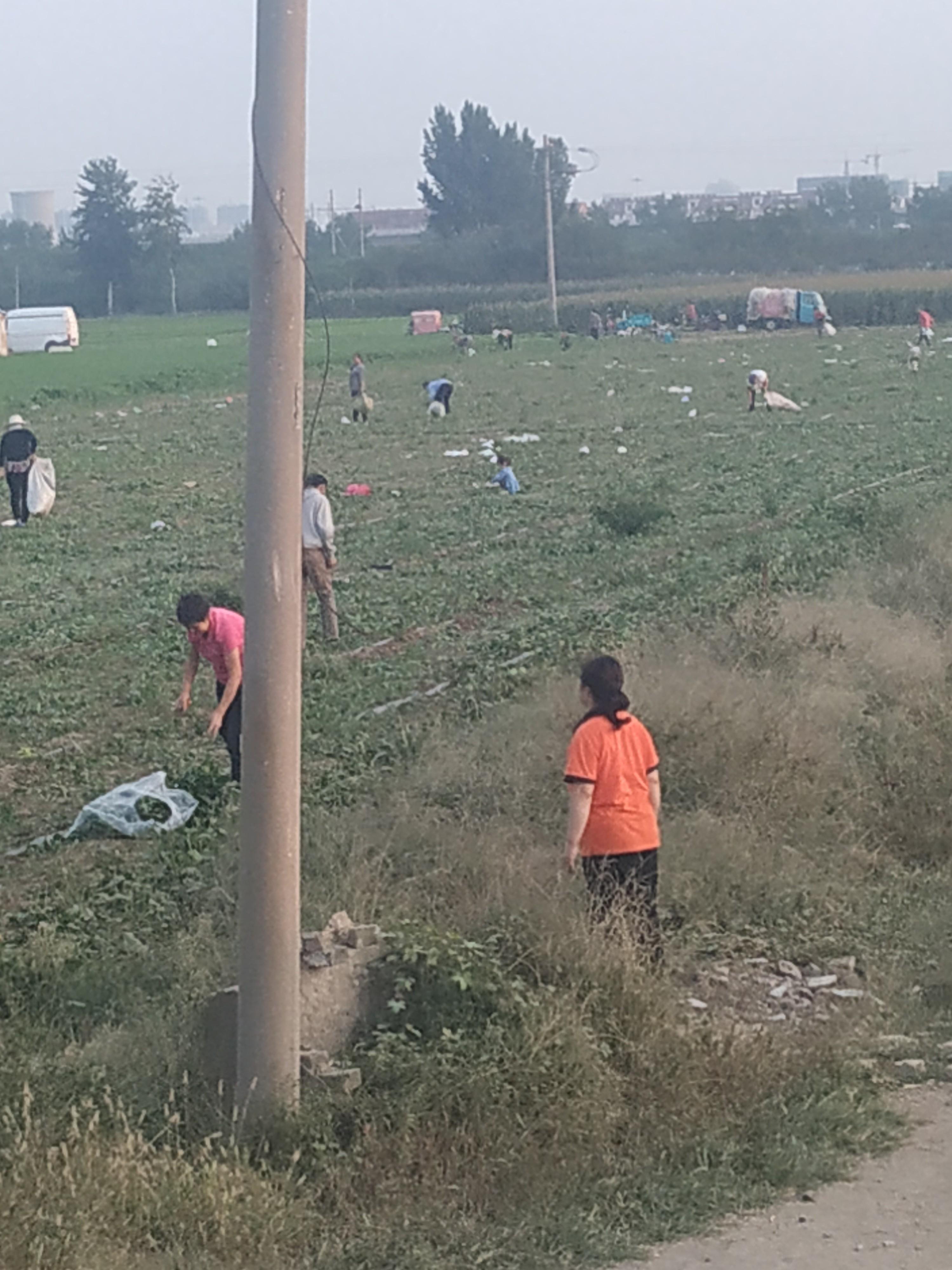 几毛钱股票探索与心灵旅行的奇妙交汇