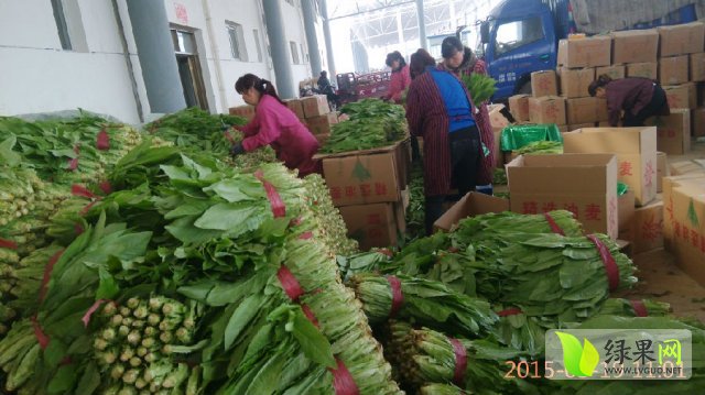 永年蔬菜价格绿果网，小巷中的绿色宝藏，开启味蕾新旅程！