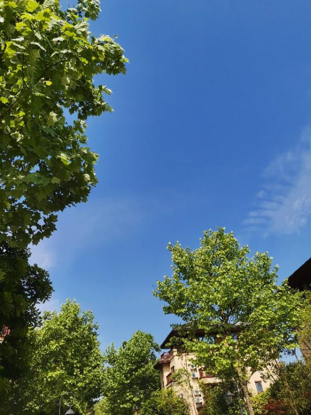 綦江租房信息一览,优质房源等你选!