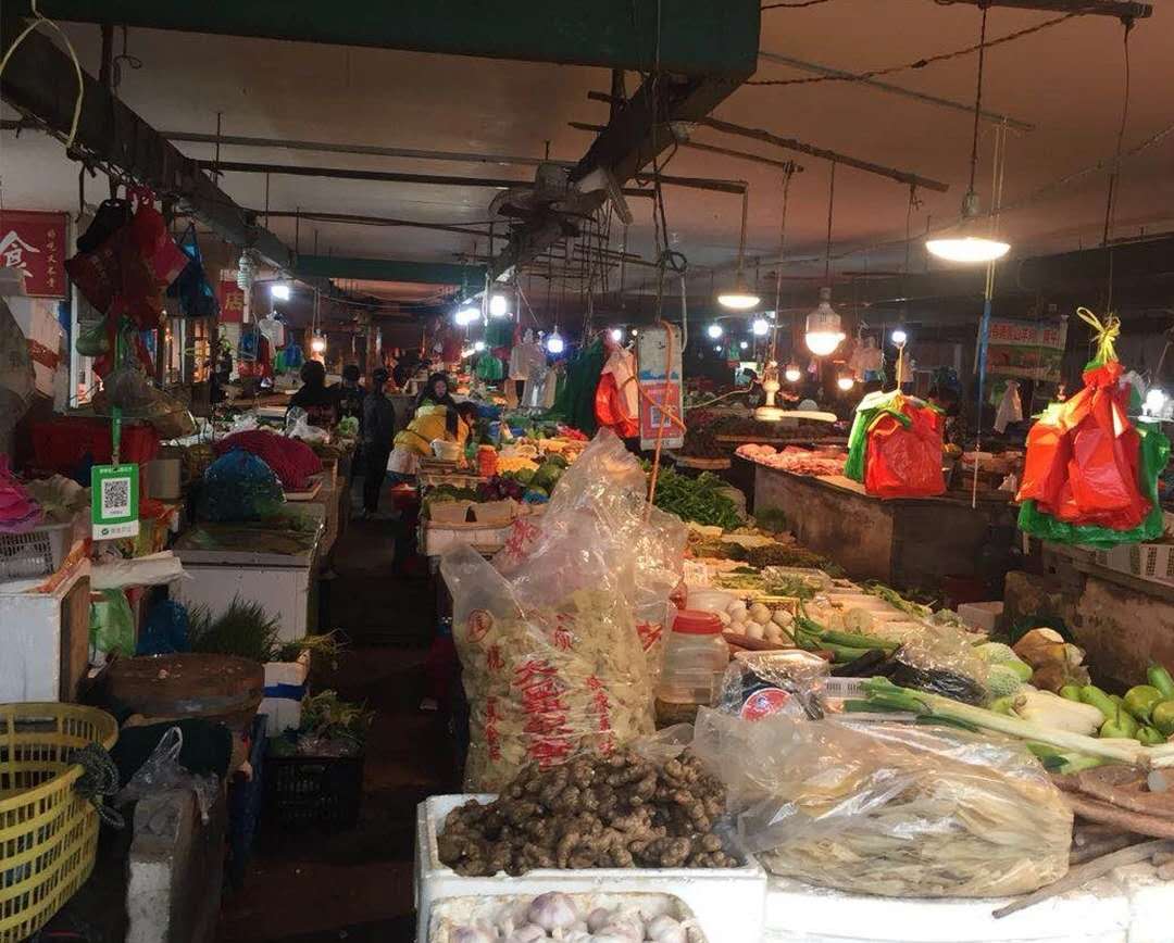 温州菜市场租赁最新动态与资讯更新