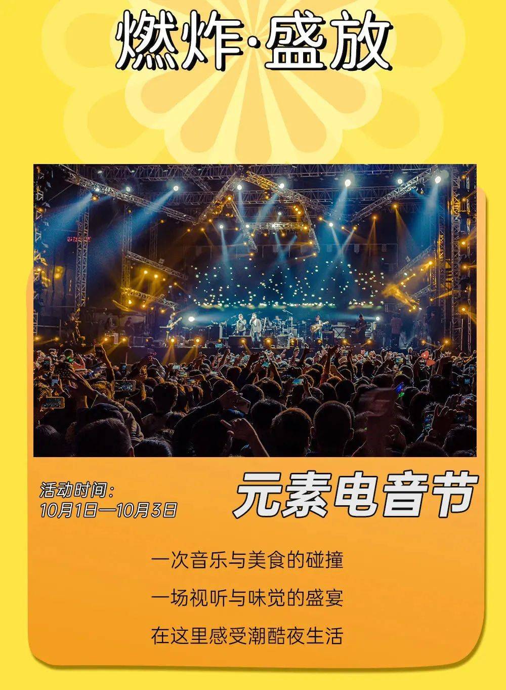 银河玖乐手机版下载，小巷中的音乐宝藏探秘之旅