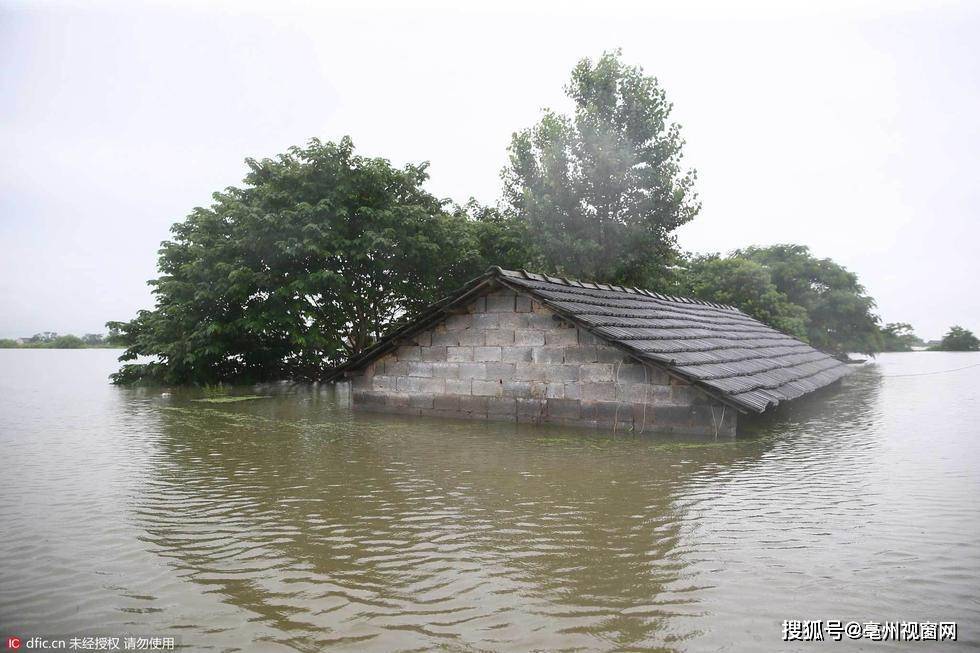 最新洪水灾害应对指南，初学者进阶用户必备知识