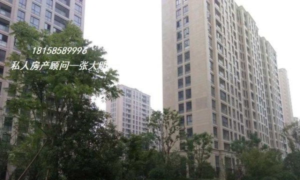 睢宁金域华府最新价格及市场走势多元观点分析