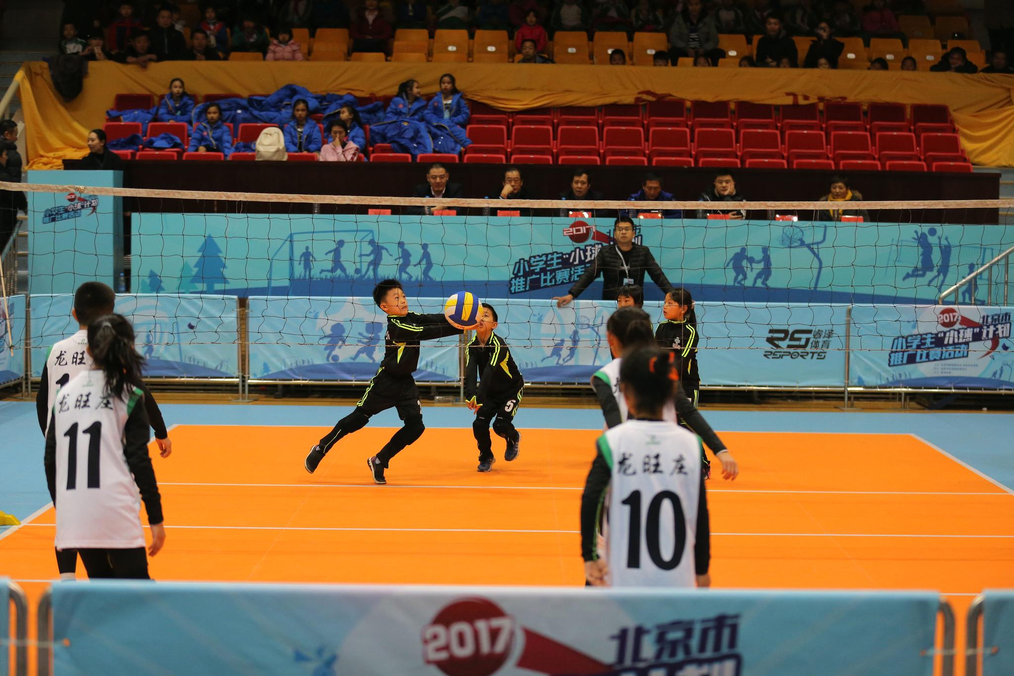 排球赛事，与自然美景的邂逅，探寻内心的平和宁静之旅