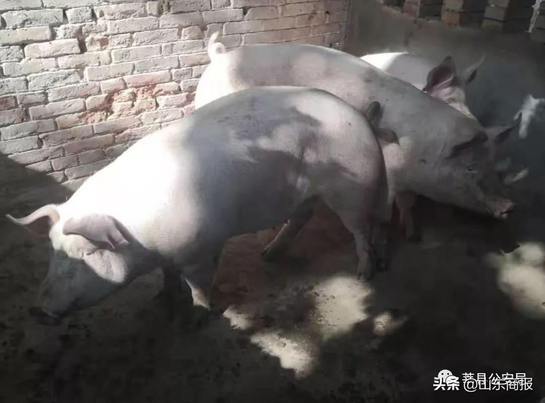 家庭小聚乐趣无限,最新通报发布揭晓惊喜时刻!