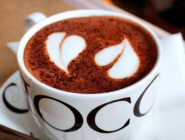 时光里的世界之饮，咖啡资讯全掌握