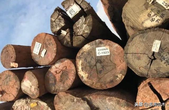 酸枝木家具，见证家的温暖与陪伴，最新价格一览