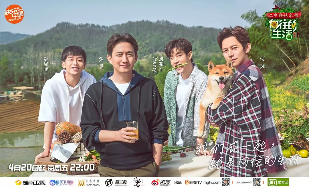 最新精彩综艺推荐，热门节目解析与观点论述