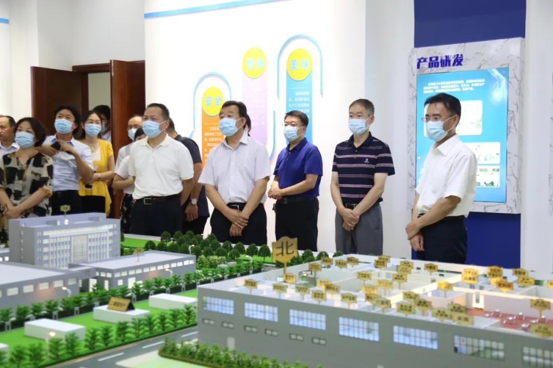 泰安路中学最新资讯，教育改革观察与探讨