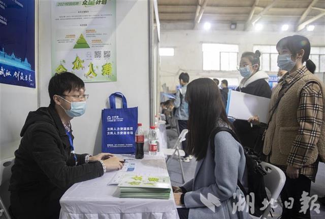 武汉招聘会深度分析与个人观点分享