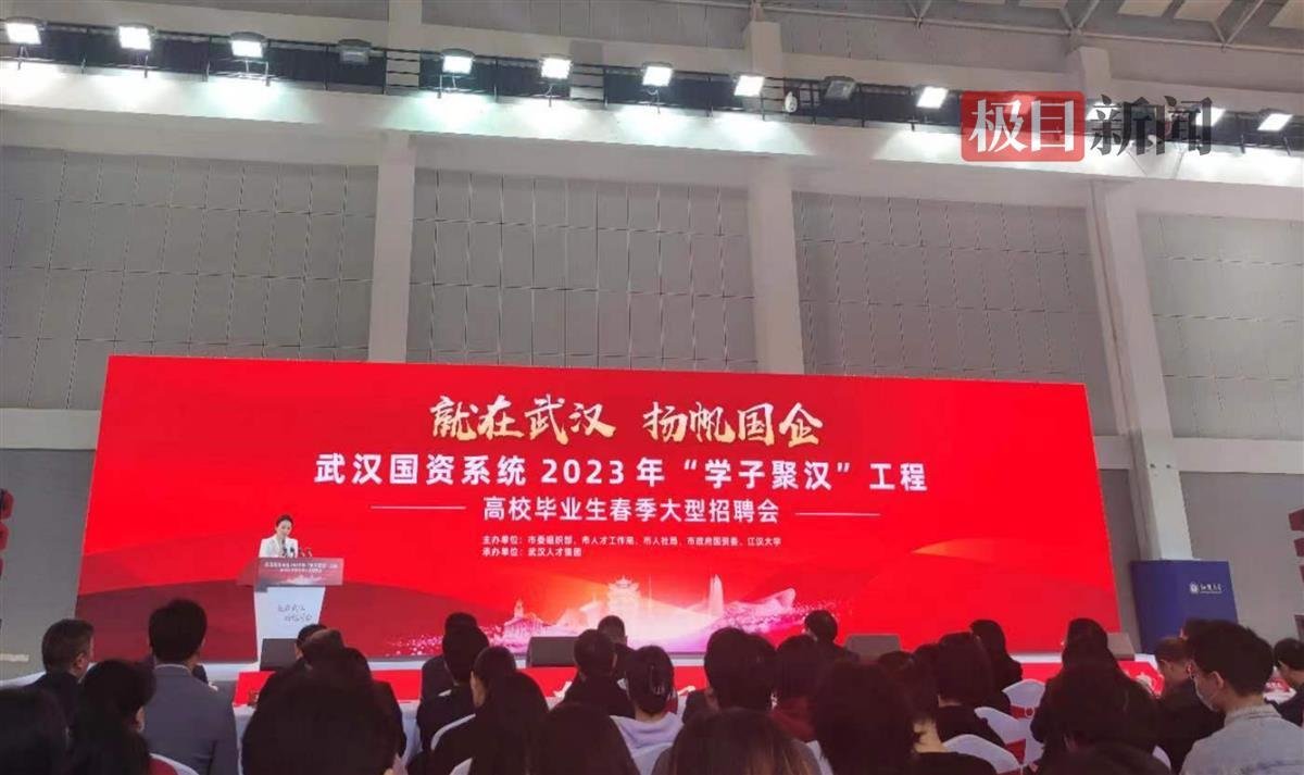 武汉招聘会深度分析与个人观点分享