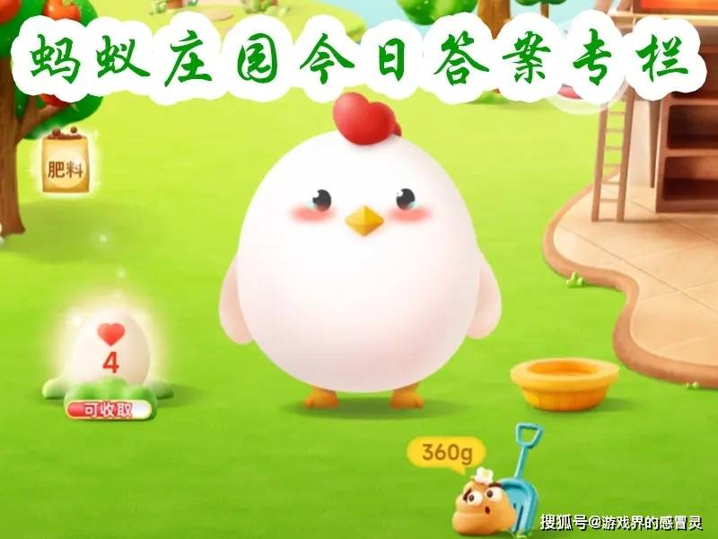 蚂蚁庄园今日答案更新，自我成长的奇妙旅程与知识的力量探索之旅