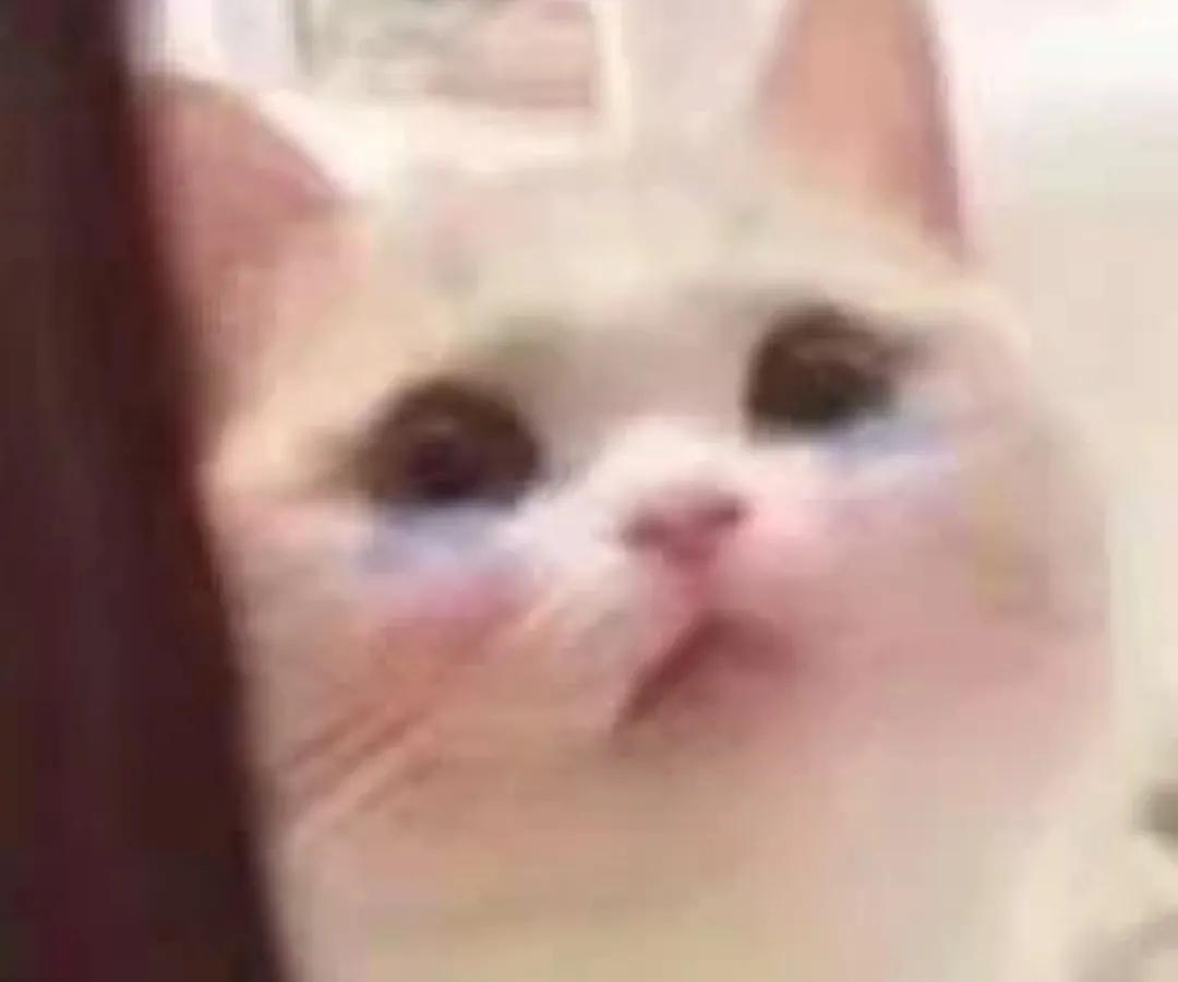 『2017年度热门微信表情包汇总』