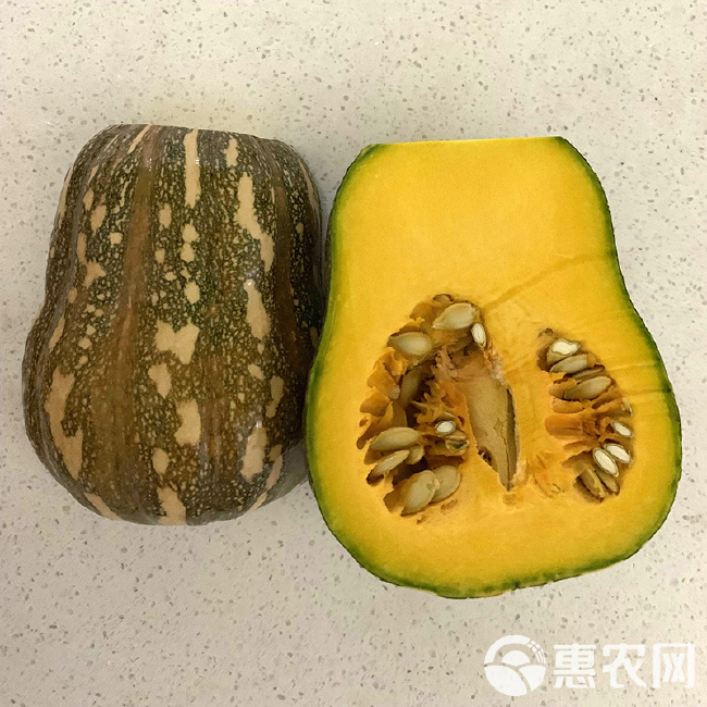 南瓜种子新品，自然美景的探险之旅启程