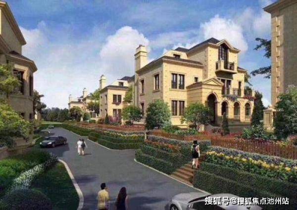 晶凡断腿最新消息