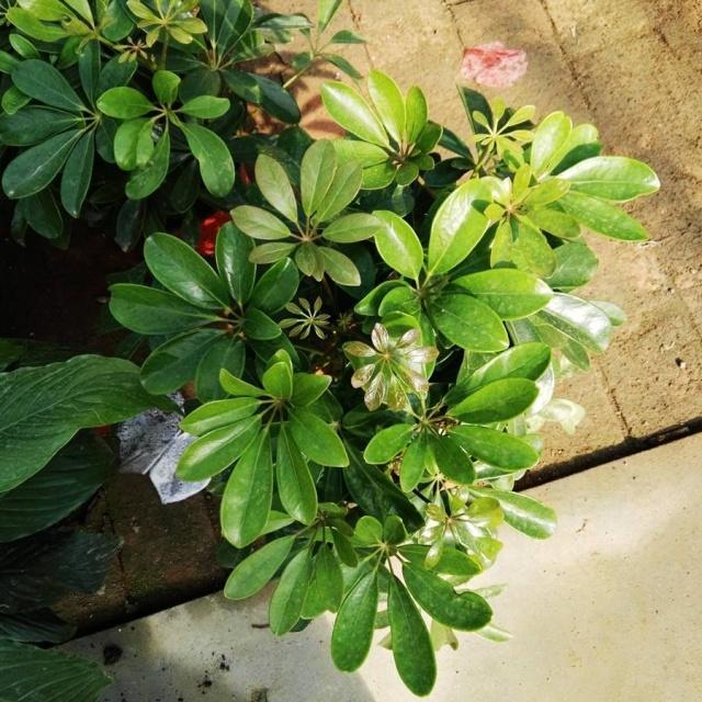 木喜水喜，一部引人入胜的电视剧——详细步骤指南介绍