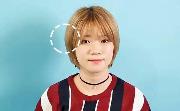 最新弧度度文章发布，探索前沿科技的独特魅力