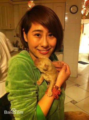 吴晴晴电影，自然美景的治愈之旅探索