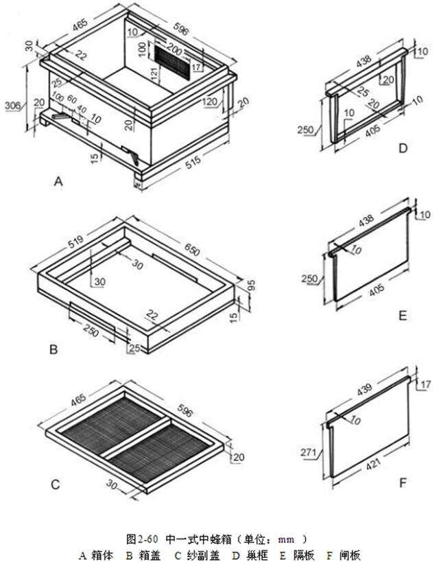 最新中蜂格子箱规格揭秘,小巷深处的养蜂秘密探索