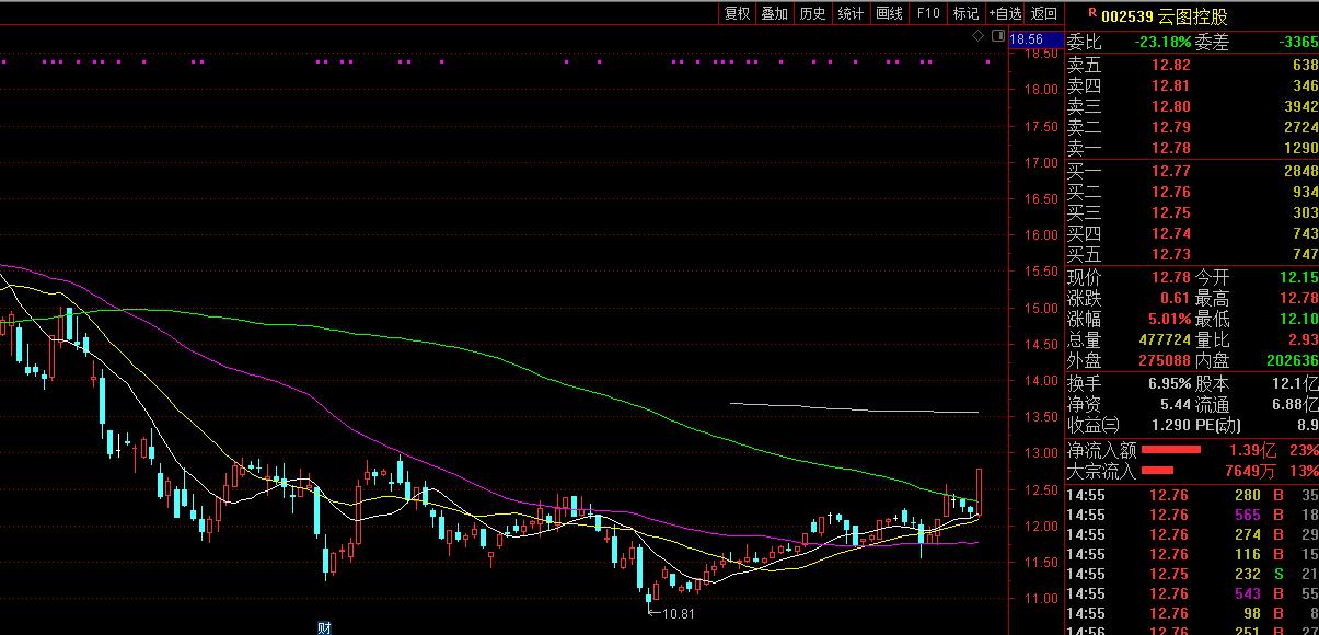 股票司尔特深度解析，探究投资价值的潜力股