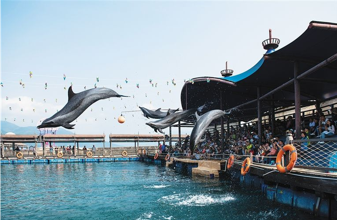 洛阳工程机械协会的职责 第144页